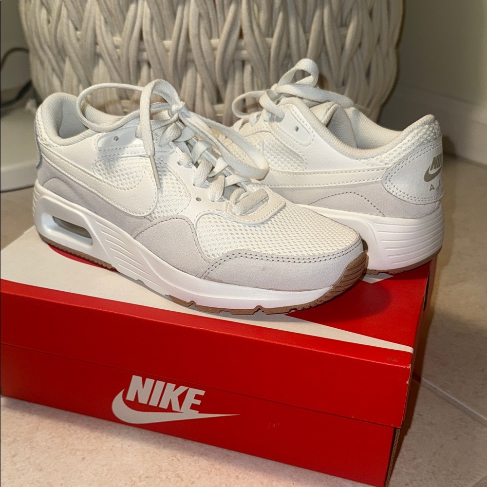 Nike Air Max SC